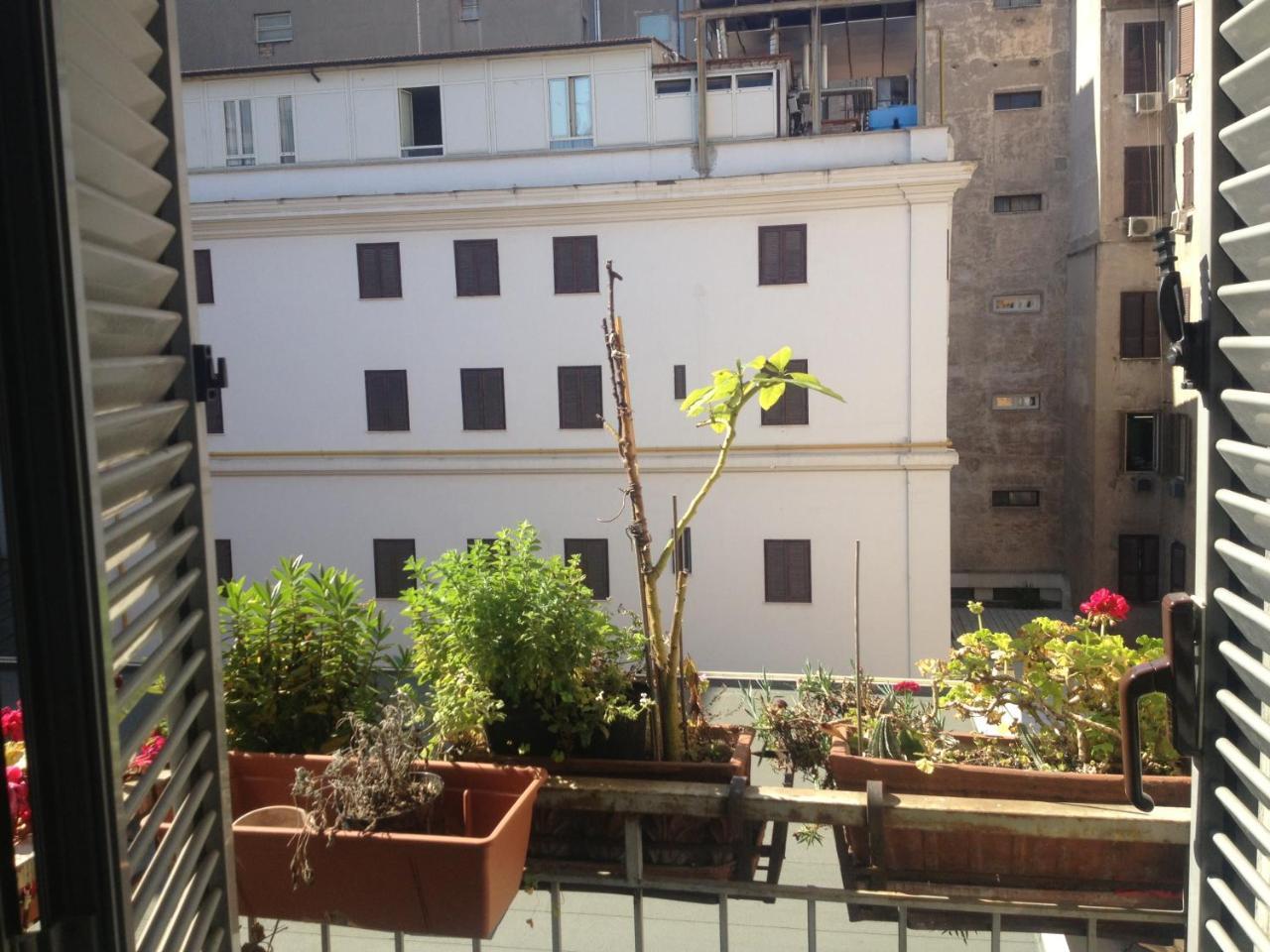 Toffa Place In Roma Eksteriør bilde